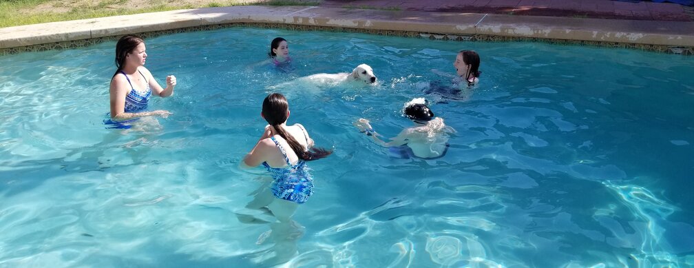 Picture of a family and a dog playing in a pool